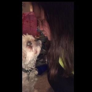 Meet your Posher, Bailey